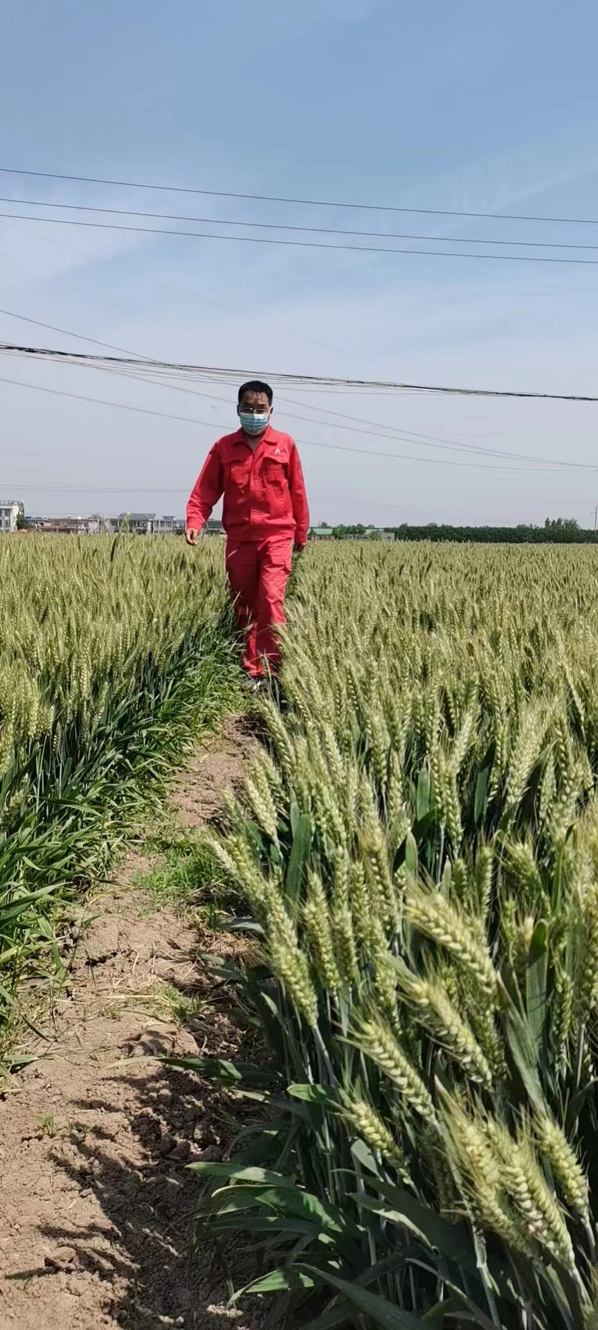 用心守護(hù)管道安全,全力保障豫北能源“生命線”——安彩能源開展安全檢查百里行主題黨日活動